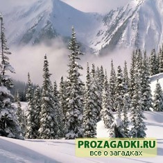 Загадки о зиме