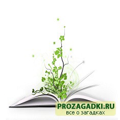 Откуда пришла книга?