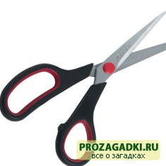 Загадки для детей
