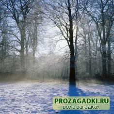 зима