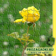��� ����