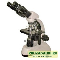 Когда изобрели микроскоп?