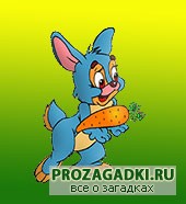 Загадки про зайца