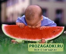 Загадки про арбуз
