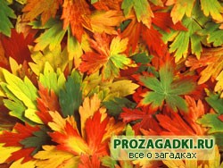 Загадки. Осень