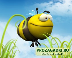 Загадки про пчелу
