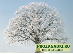 Загадки о зиме