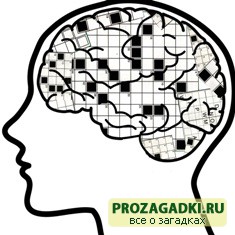 Как решать кроссворд: полезные подсказки